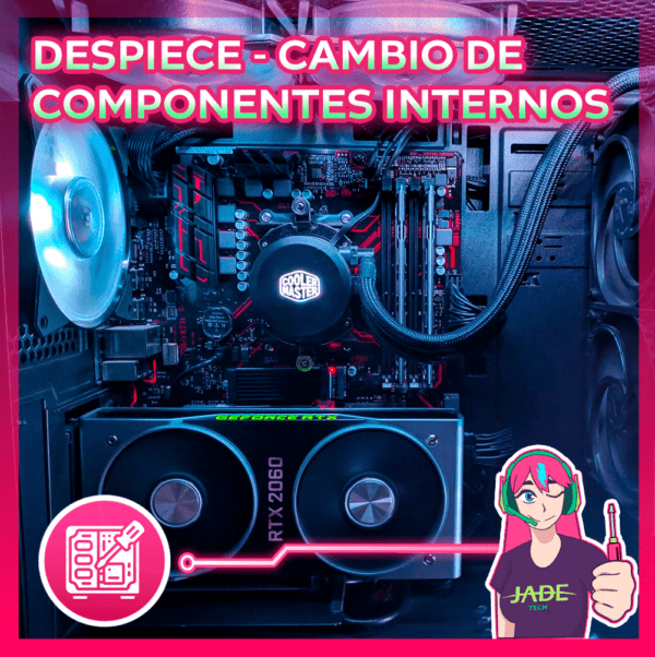 Despiece - Cambio de componentes internos