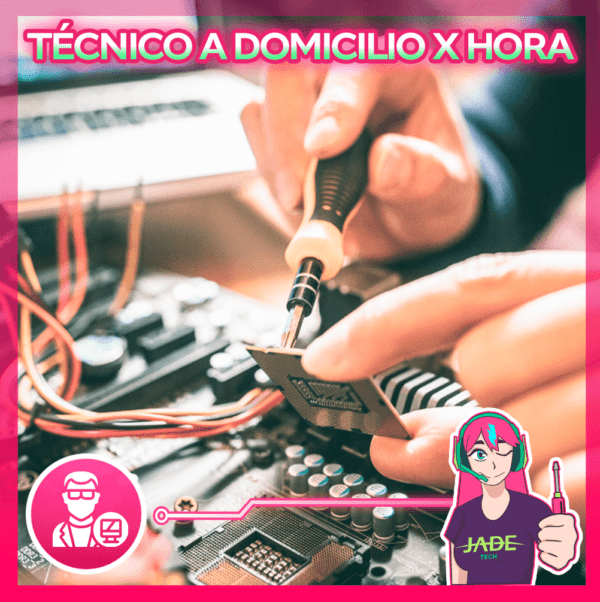 Visita a domicilio x 1 hs